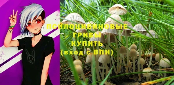 соль ск Елизово